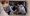 FLEXIBILIZACIÓN DE LA SUSPENSIÓN PERFECTA DE LABORES