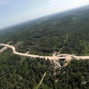 MODIFICAN LA LEY DE LA AMAZONÍA INCORPORANDO NUEVAS TERRITORIOS AL BENEFICIO