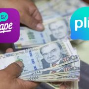 APRUEBAN REGLAMENTO DE LA LEY QUE HABILITA LA BILLETERA DIGITAL PARA PERCIBIR EL PAGO DE SUELDOS Y BENEFICIOS LABORALES